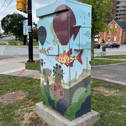 Image 6